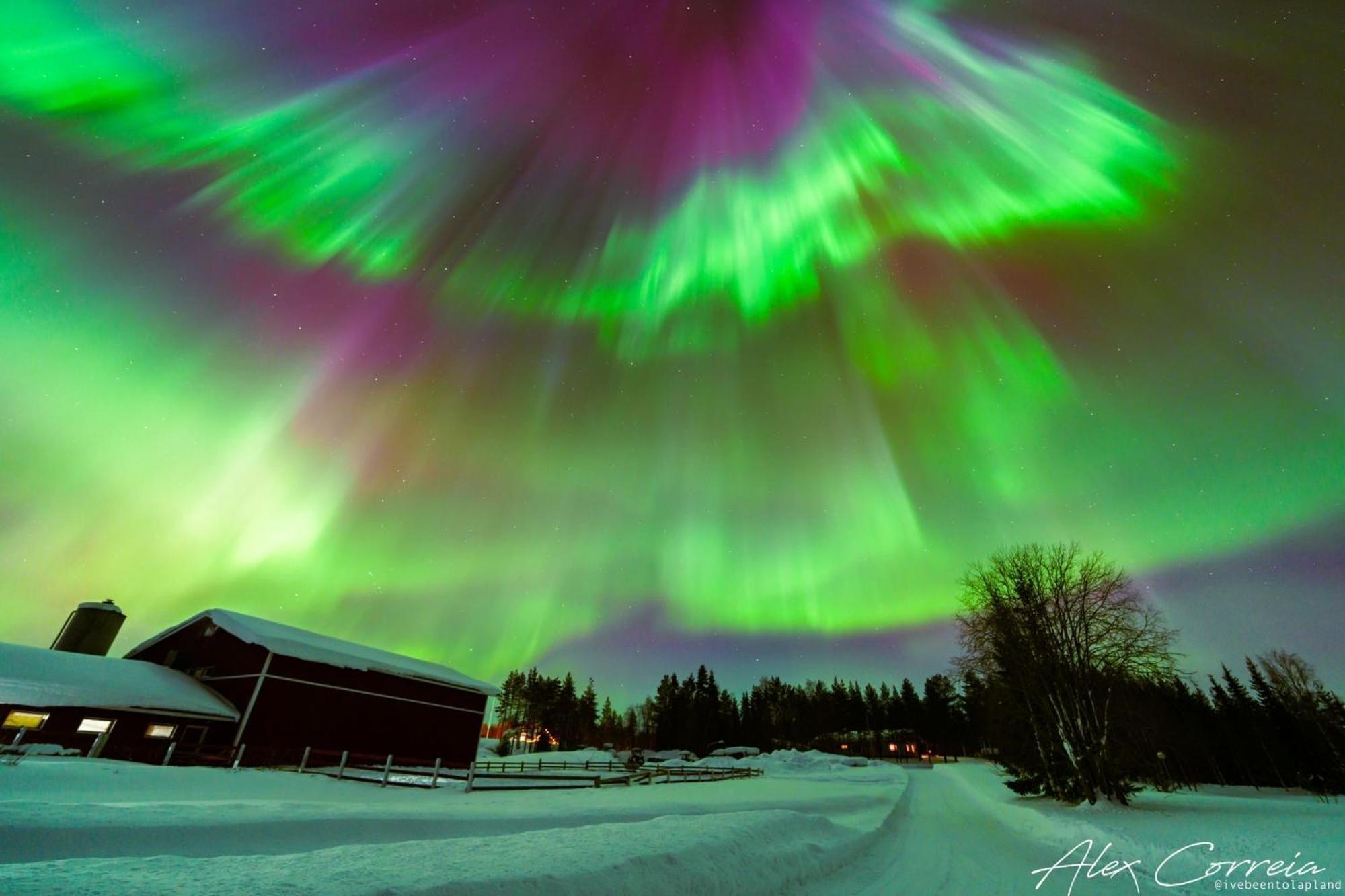 Vila Harjuniemi Kangosjarvi Exteriér fotografie